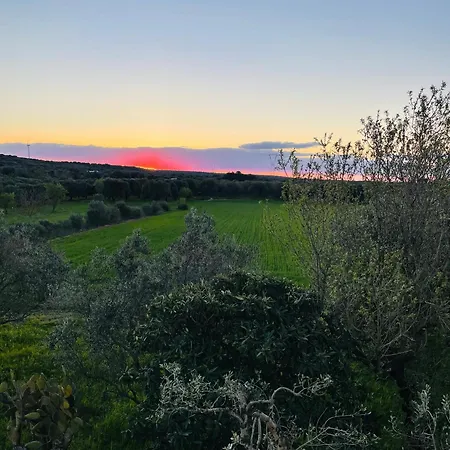 La Nicchia Apartment *