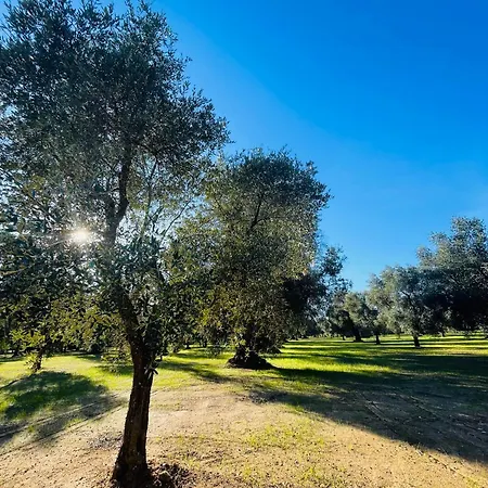 Apartment La Nicchia *